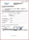 Testo sostitutivo all'immagine