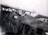 Campoformido, 25 febbraio 1939