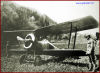 Hanriot Hd1 sceso in emergenza (colpito?) a Caderzone in val Rendena il 13 maggio 1918, pilota Franzi