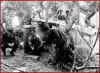259^ Sq. Castelvetrano estate 1940. USSMA