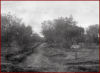 259^ Sq. Castelvetrano estate 1940. USSMA