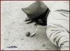 Testo sostitutivo all'immagine