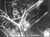 Veduta aerea del complesso Piazza D'Armi-Tombetta