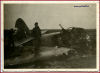 Bristol Blenheim Mk1 abbattuto in Africa Settentrionale